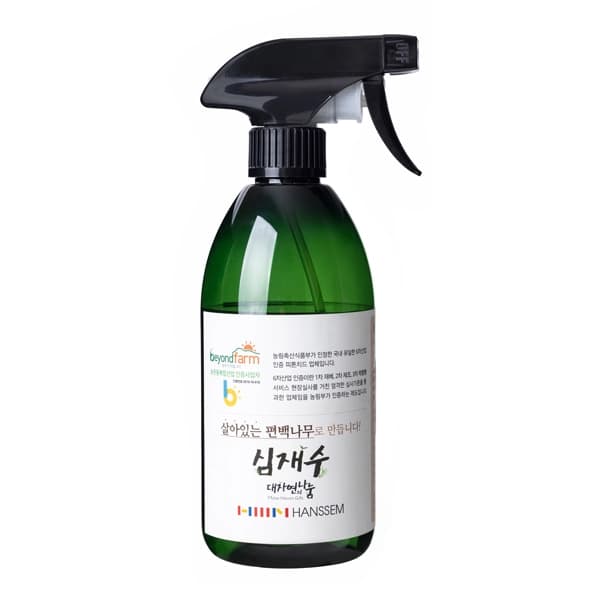 사천편백림 심재편백수