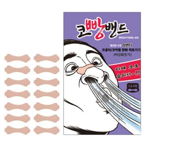 코빵밴드 라벤더
