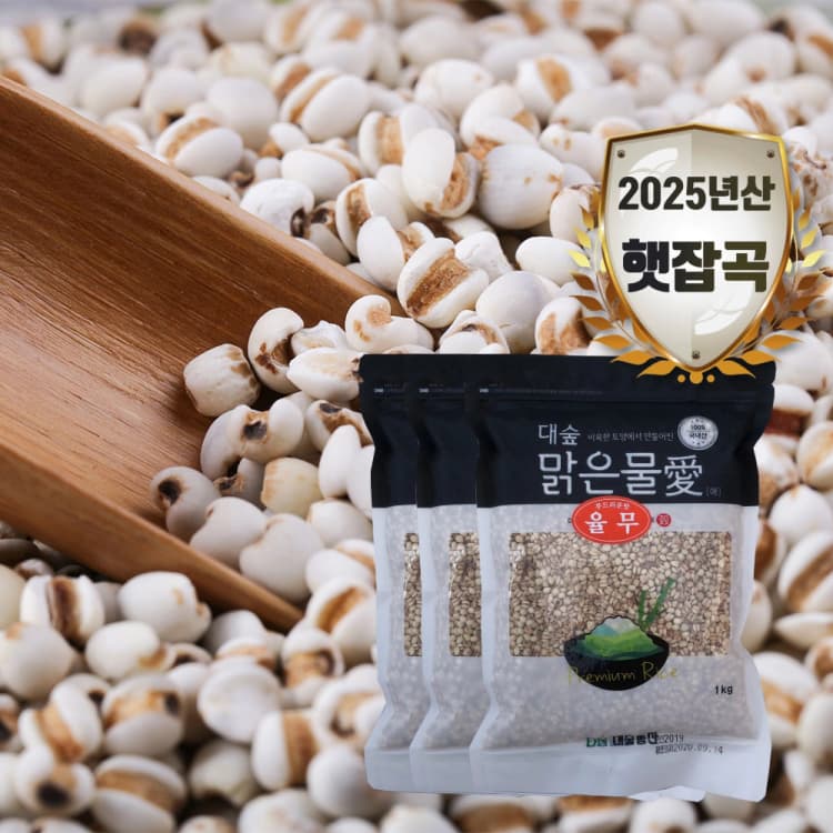 [대숲맑은물애] 율무