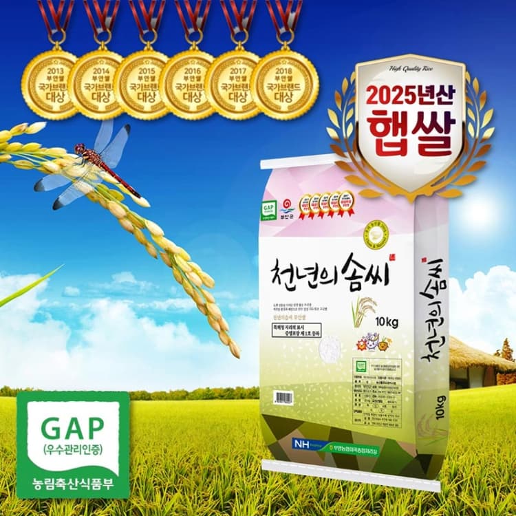 [천년의솜씨] GAP인증 간척지쌀 신동진쌀