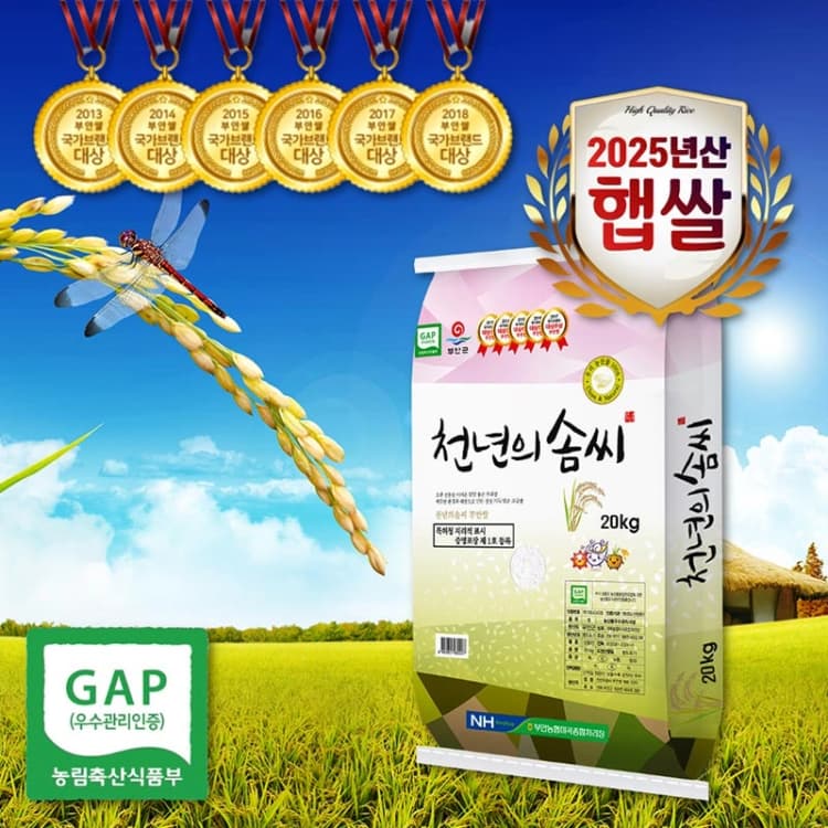 [천년의솜씨] GAP인증 간척지쌀 신동진쌀