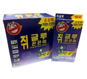 쥐글루 끈끈이 세트