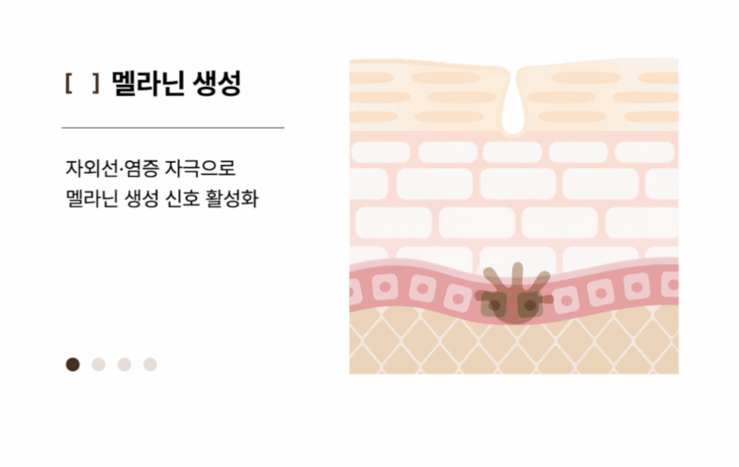 상세정보 3