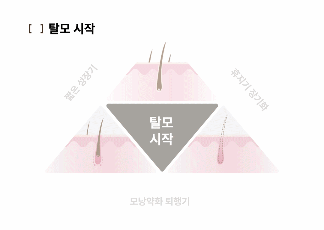 상세정보 2