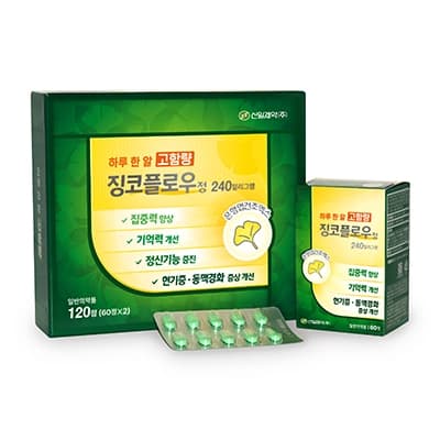 징코플로우정 240mg