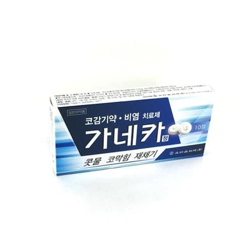 가네카정