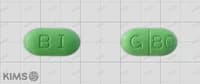 징코빌라 정 80mg