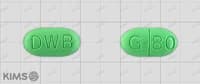 징코드 정 80mg