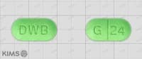 징코드 정 240mg
