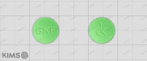 징코타 정 40mg