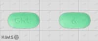 징코타 정 240mg