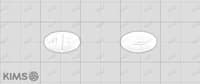 리진 정 10mg (수출용)