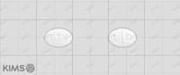 로리딘 정 10mg