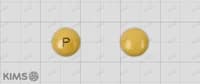 협진 폴리엘가 정 100mg