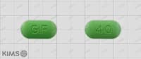 징코 에프 정 40mg