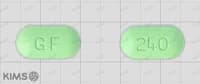 징코 에프 정 240mg