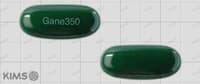 가네리버 연질캡슐 350mg