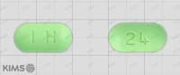 진고그린 정 240mg