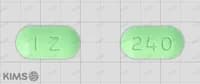 파믹스 징코 정 240mg