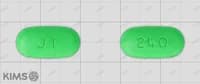 진코신 정 240mg