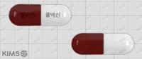 쿨넥신 캡슐