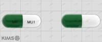 뮤코스텐 캡슐 100mg