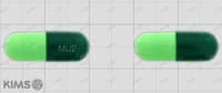 뮤코스텐 캡슐 200mg