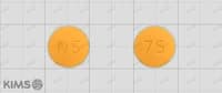 넬슨 니자티딘 정 75mg