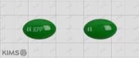 제브론 연질캡슐 120mg (수출용)
