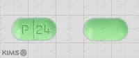 징코팜 정 240mg