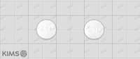 신일 티아민염산염 정 10mg
