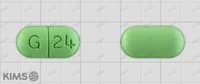 기넥신 에프 정 240mg