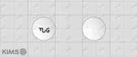 가네치온 정 100mg