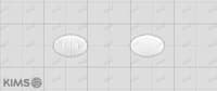 로라타인 정 10mg