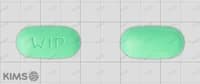 환인 징코 정 240mg