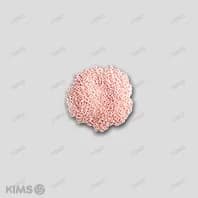세브론 과립 100g