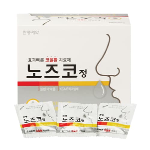 노즈코 정