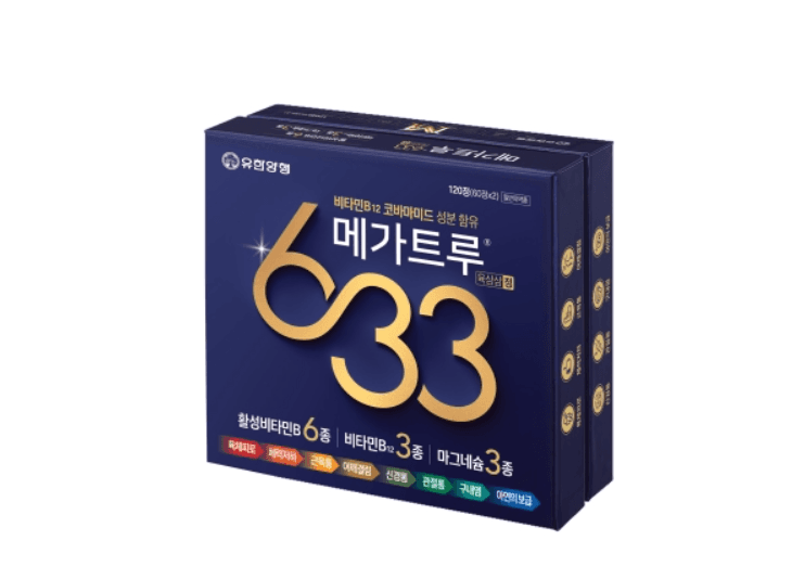 메가트루 육삼삼 정
