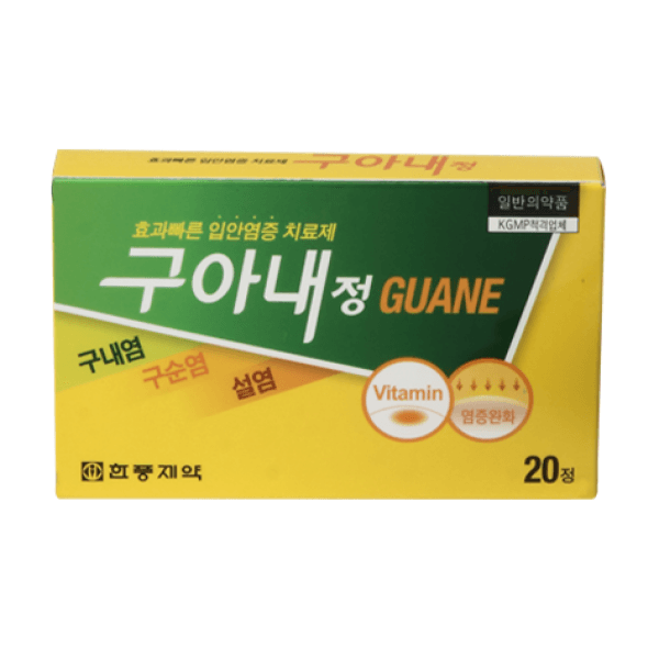 구아내정